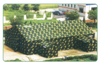 LZC-ZP-001师级指...