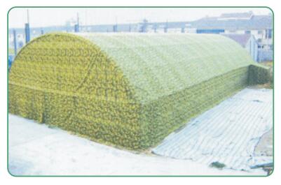 LZC-ZP-020大型拱...